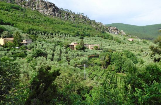 Escursione Buti Naturatour