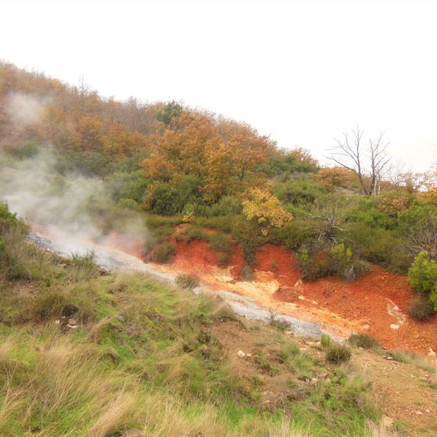 Viaggi d'istruzione Sasso_Pisano | Naturatour