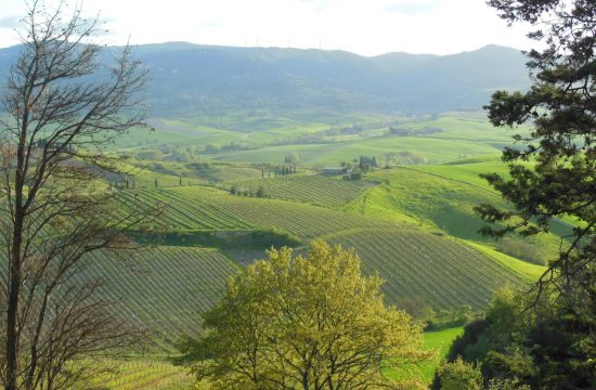 Escursione Morrona Naturatour