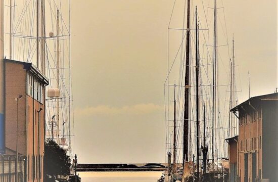 Visita a Viareggio marineria | Naturatour