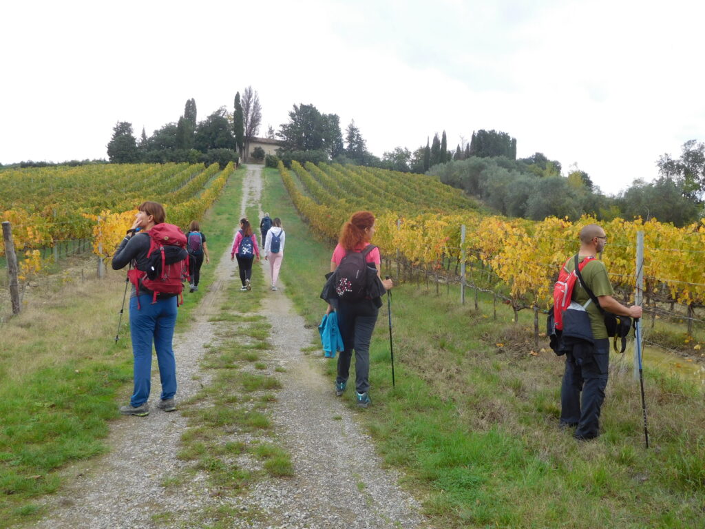 Escursione Peccioli ottobre 2020 | Naturatour
