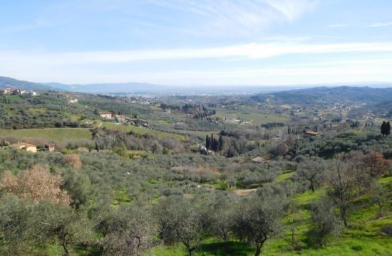 Escursione a Capannori Petrognano | Naturatour