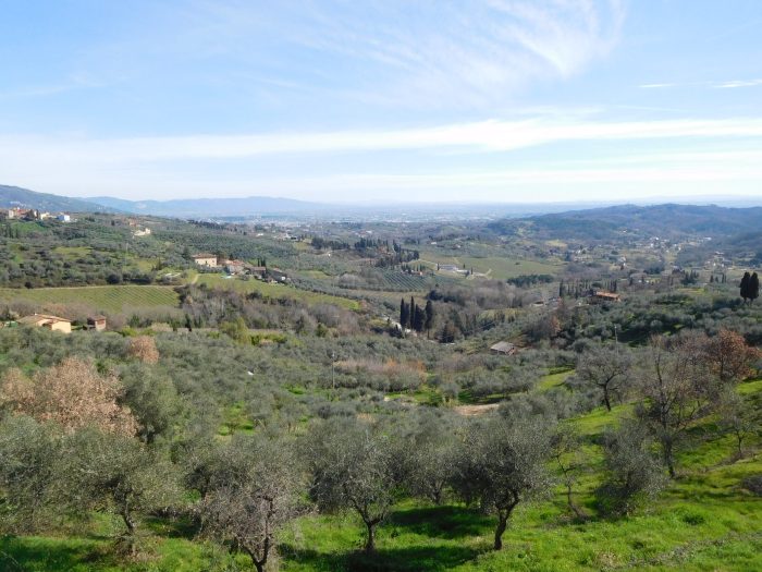 Escursione a Capannori Petrognano | Naturatour