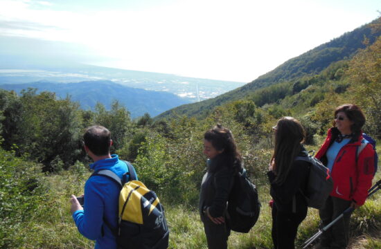 Escursione monte Gabberi | Naturatour
