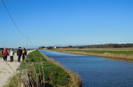 Escursione al Calambrone | Naturatour