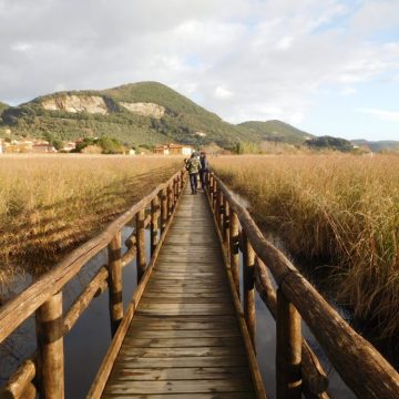 Escursione a Massaciuccoli | Naturatour