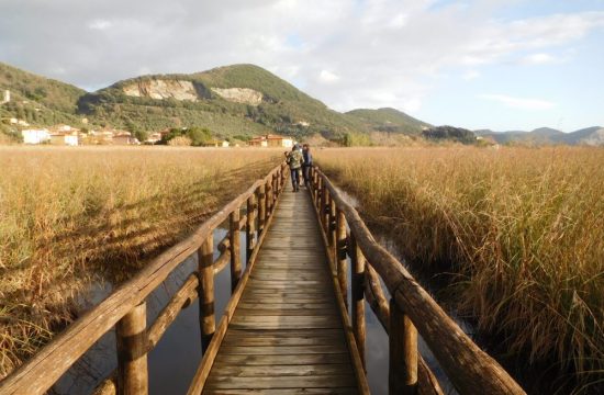 Escursione a Massaciuccoli | Naturatour