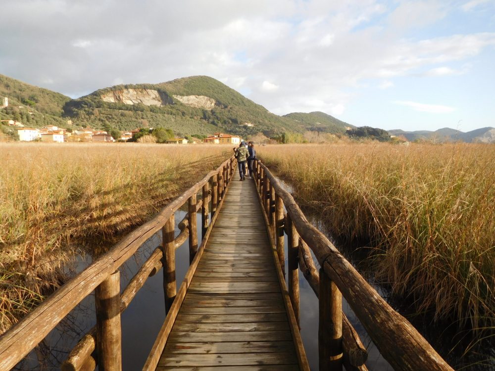 Escursione a Massaciuccoli | Naturatour
