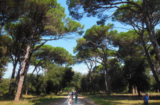 Escursione a San Rossore | Naturatour