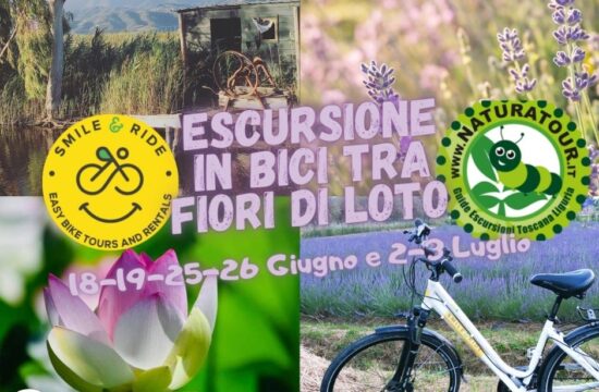Fiori_loto | Naturatour