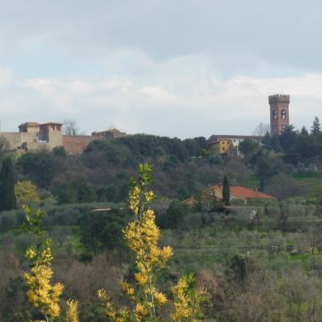 Montecarlo | Naturatour
