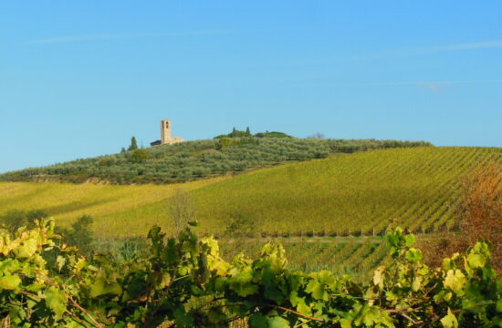 Escursione a San Gimignano