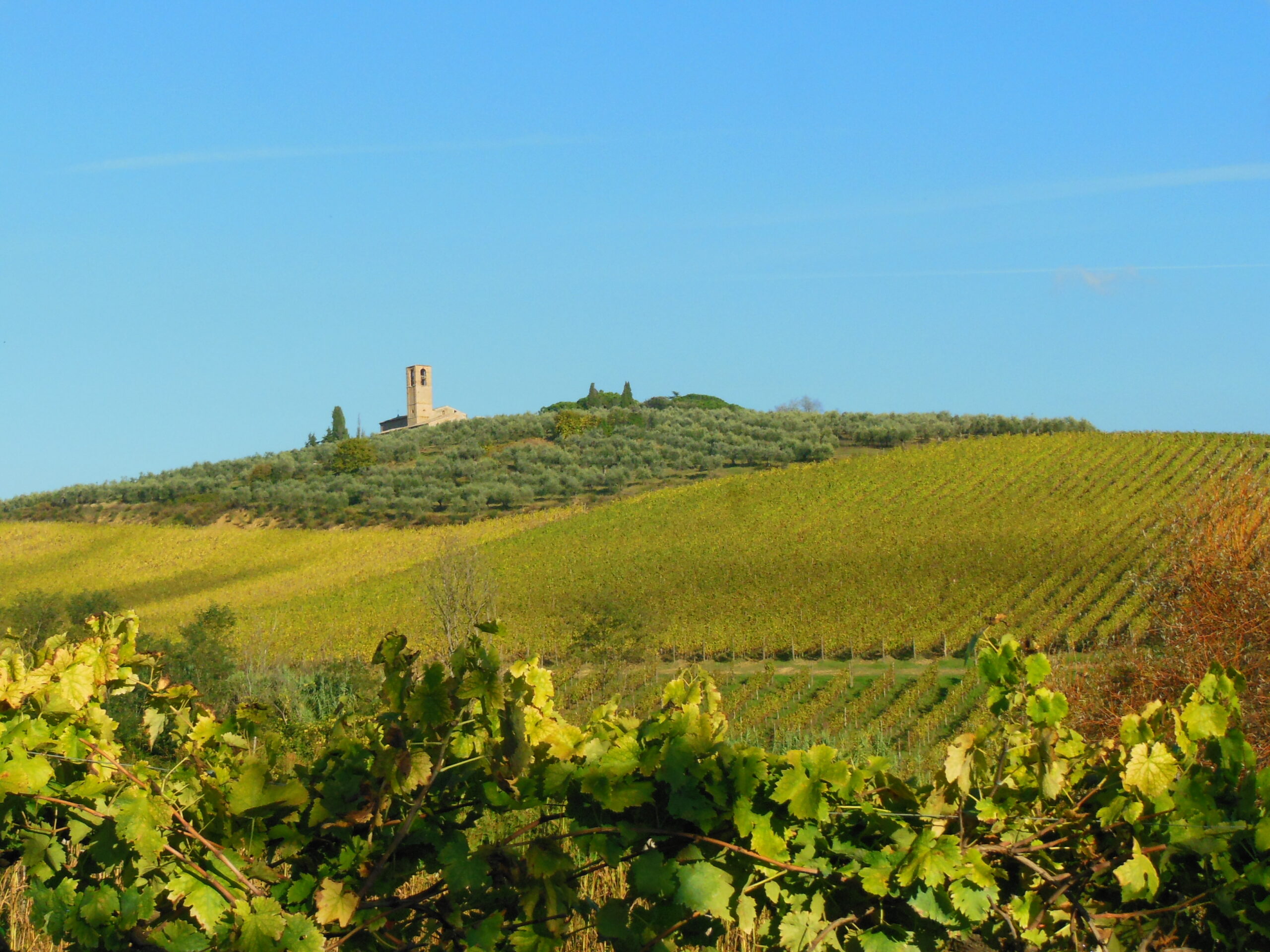 Escursione a San Gimignano